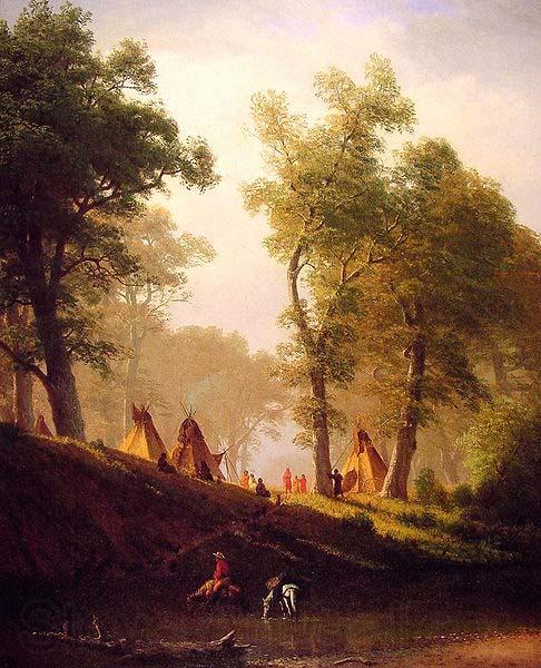 Albert Bierstadt The Wolf River, Kansas Spain oil painting art